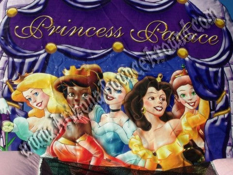Princess moonwalk rentals Phoenix